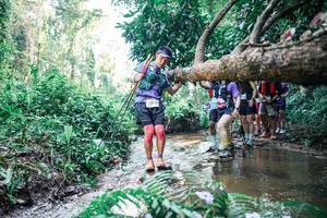 BIB: 
                            <button type="button" onclick="openModal(25467100)" class="btn btn-primary btn-sm float-right btn-popup" data-toggle="modal" data-target=".modal-high-quality">
                        <i class="fas fa-shopping-cart"></i> Add to Cart
                    </button>
                                            <button type="button" onclick="isThisMe(25467100, true)" class="btn btn-success btn-sm float-right btn-popup btn-isme hidden" data-toggle="tooltip" data-placement="bottom" title="นี่คือรูปของคุณใช่ไหม คลิกที่นี่เพื่อเอาเข้าอัลบั้ม">
                        <i class="fas fa-plus"></i> Add to album
                    </button>
                    <button type="button" onclick="isThisMe(25467100, false)" class="btn btn-warning btn-sm float-right btn-popup btn-isnotme hidden">
                        <i class="fas fa-ban"></i> Remove from album
                    </button>